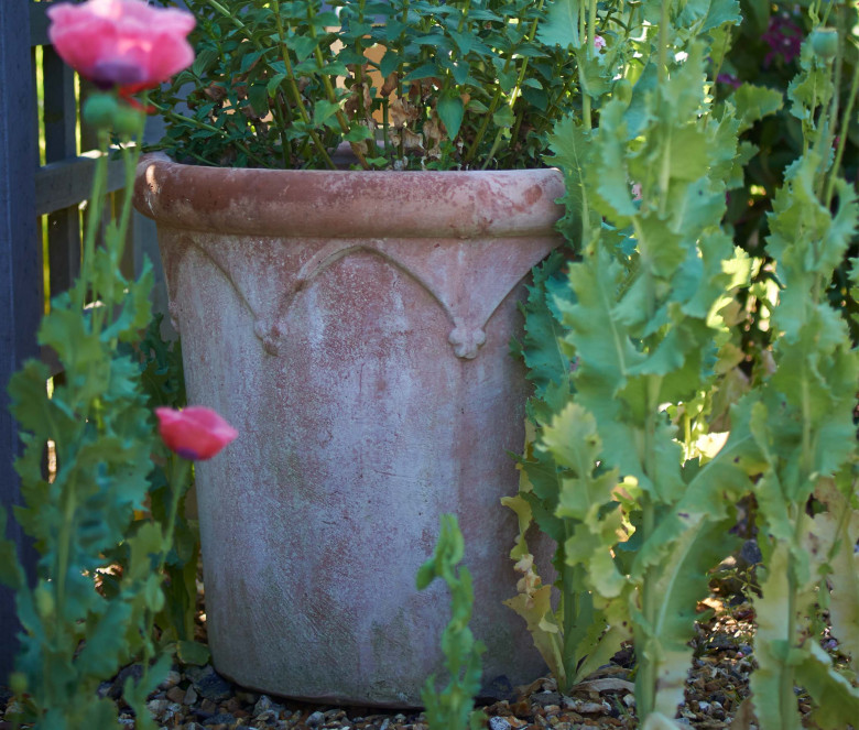 Archi terracotta pot