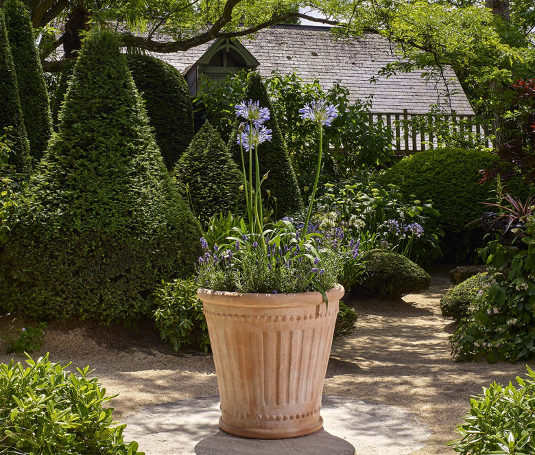 Colonna terracotta pot