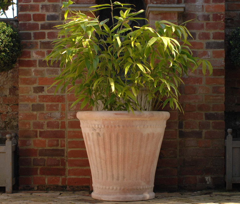 Colonna terracotta pot