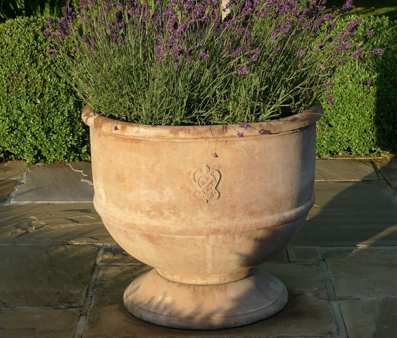 Coppa terracotta pot