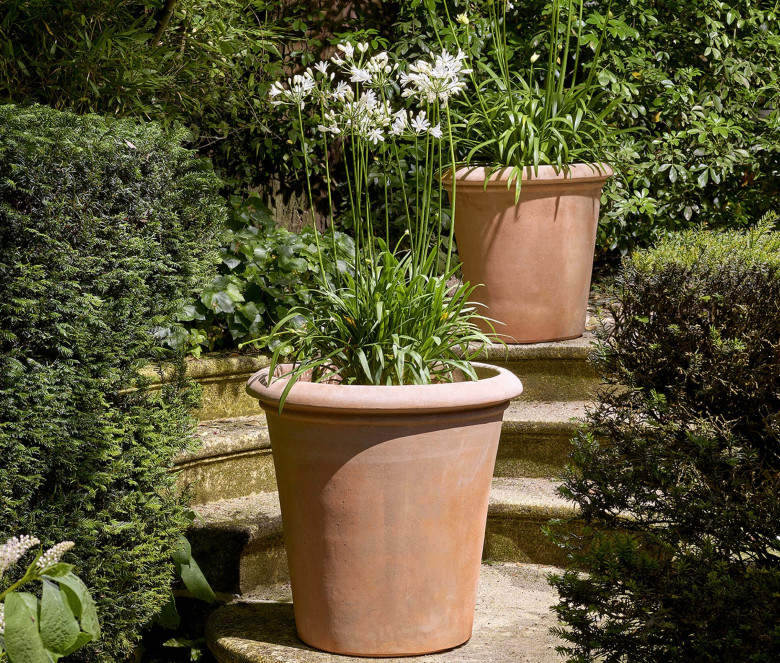 Tinozza terracotta pot