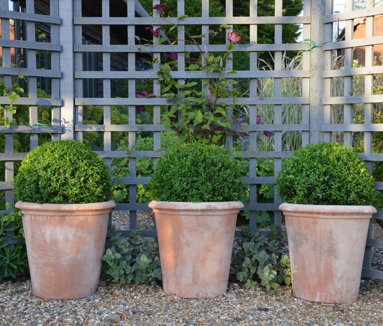 Tinozza terracotta pot