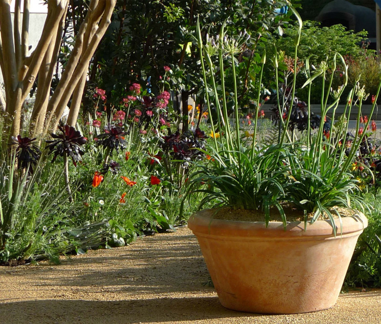 Catino Liscio terracotta pot