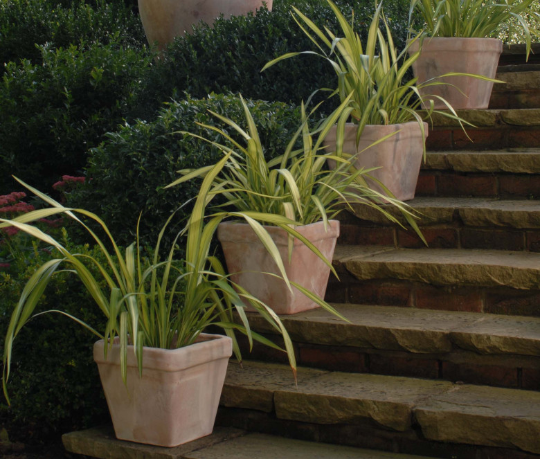 Cestino Liscio terracotta pot