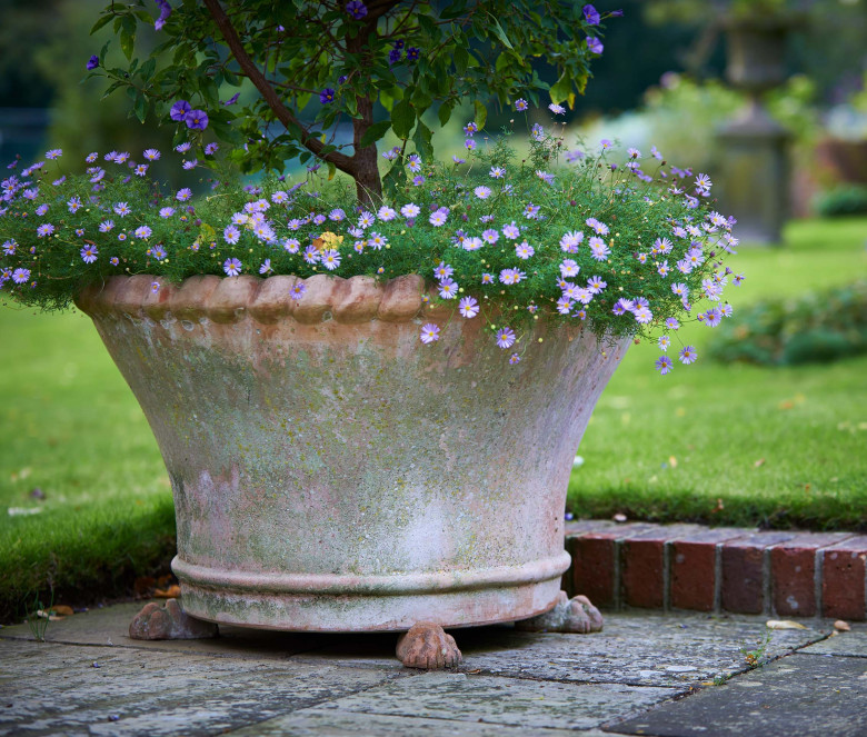 Cesta terracotta pot