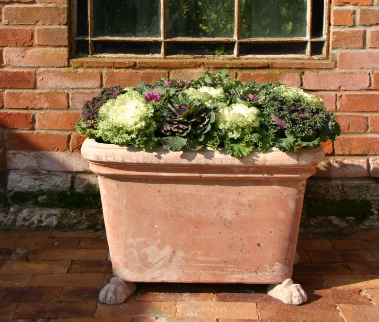 Cassetta terracotta pot