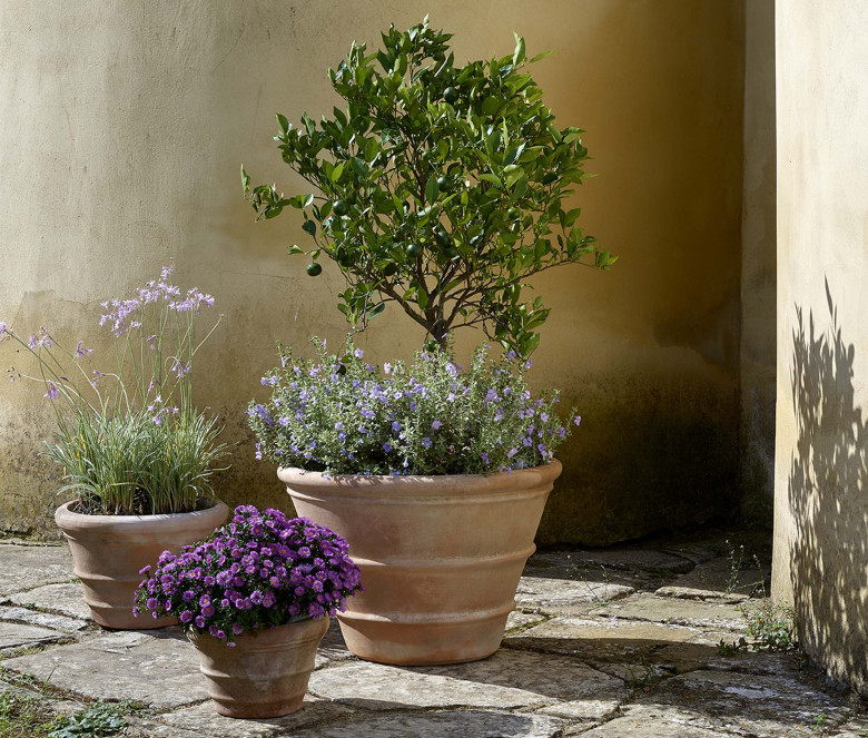 Classico terracotta pot