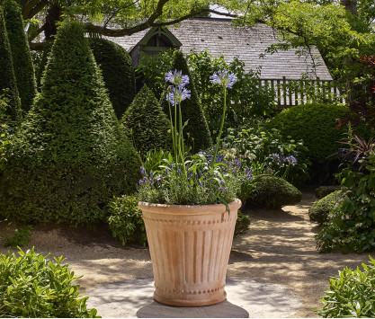 Colonna terracotta pot