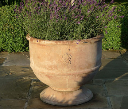 Coppa terracotta pot