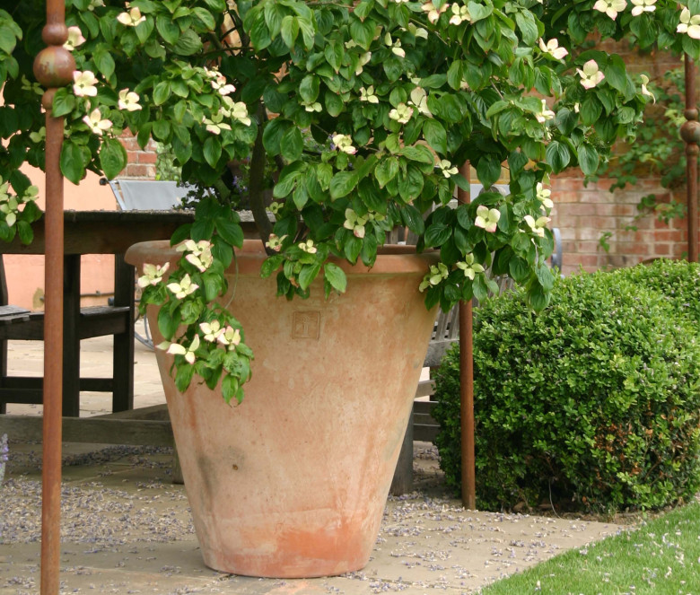 Giardino terracotta pot