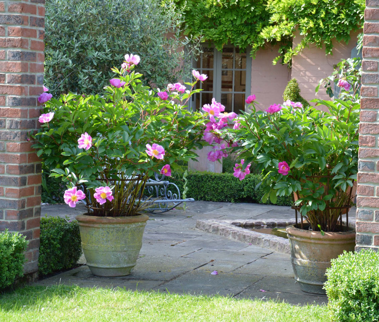 Conca terracotta pot