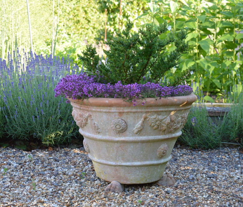 Festonato terracotta pot