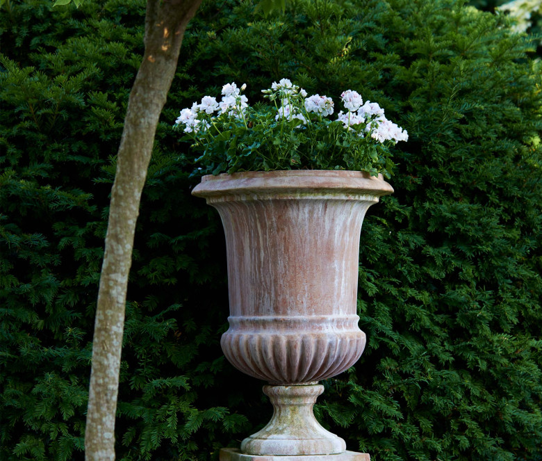 Vanvitelli terracotta pot