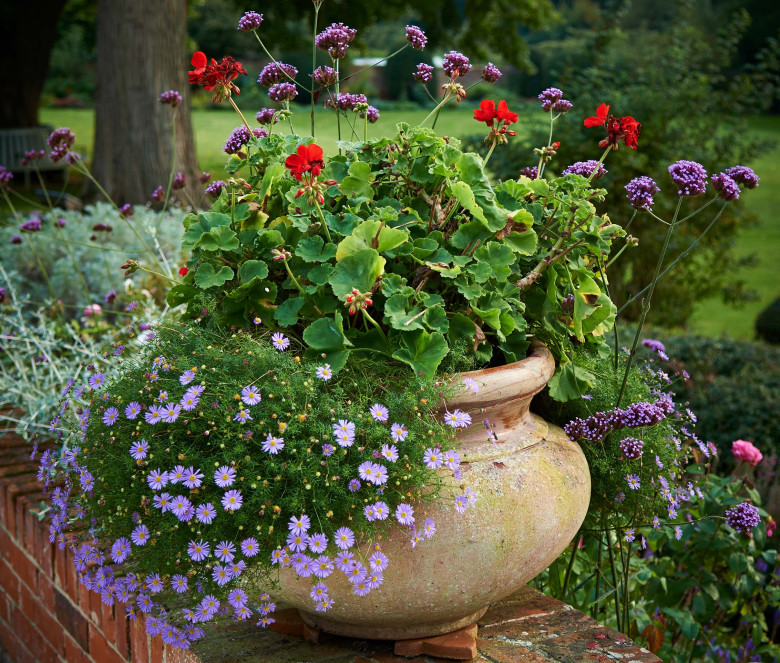 Giara terracotta pot