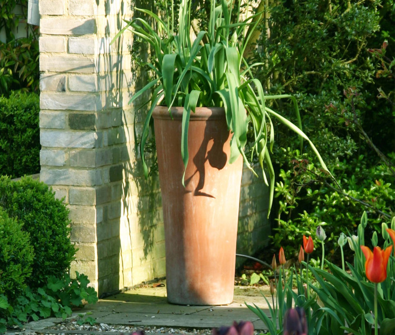 Cono Alto terracotta pot