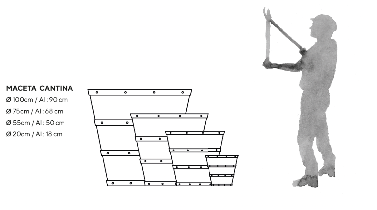 Dimensiones