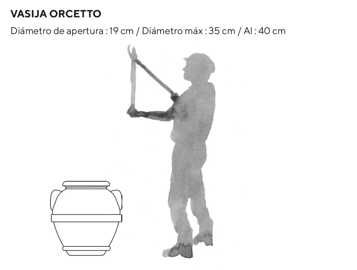 Dimensiones