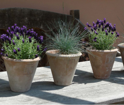 Vaso in terracotta Giardino