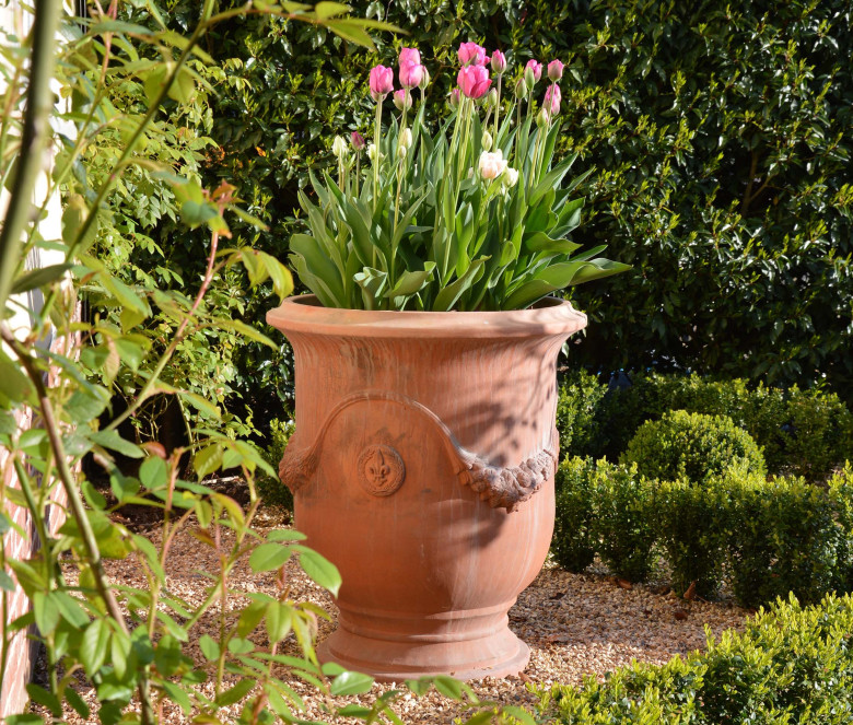 Vaso in terracotta Francese Festonato