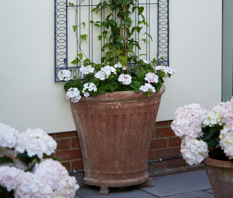 Vaso in terracotta Colonna Mezza